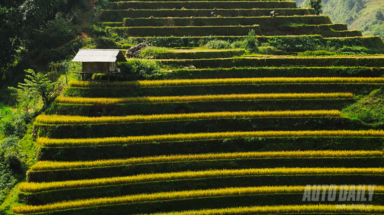 Kiệt t&aacute;c ruộng bậc thang M&ugrave; Cang Chải